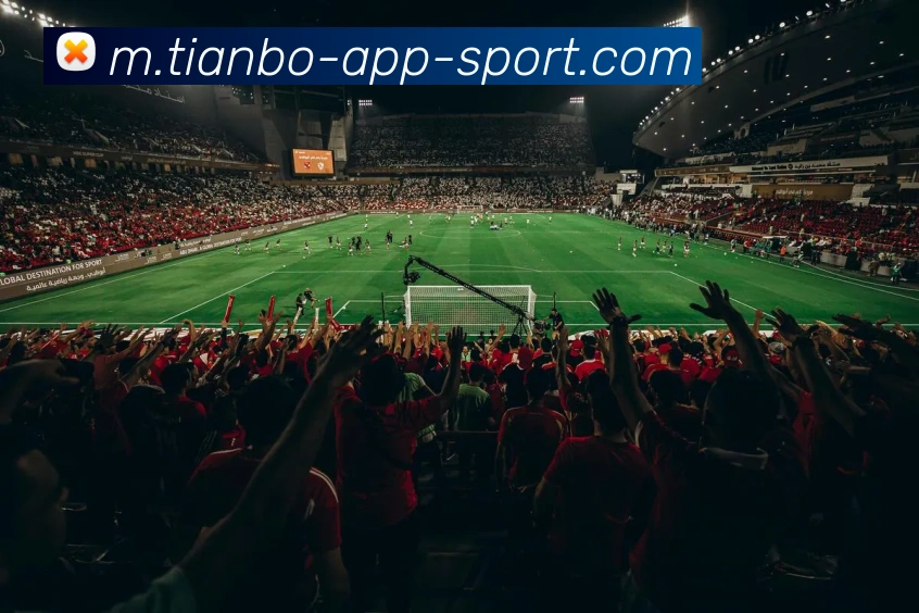 App Interface Preview